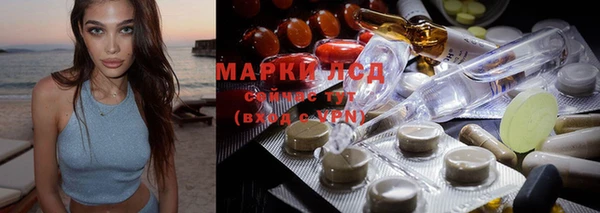 mdpv Горно-Алтайск