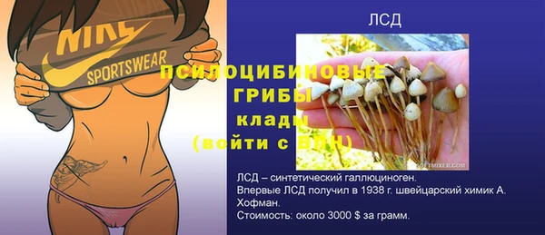 спиды Горняк