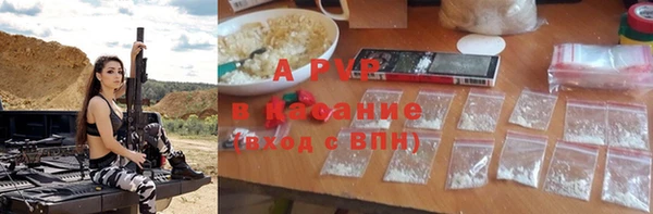 спиды Горняк