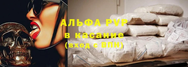 спиды Горняк