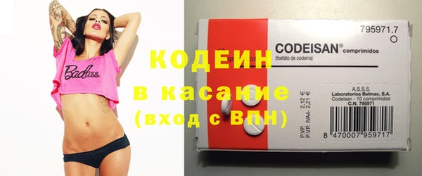 гашик Вяземский