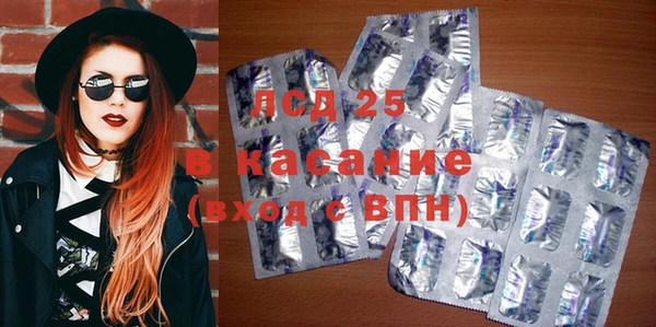 спиды Горняк