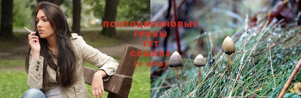 спиды Горняк