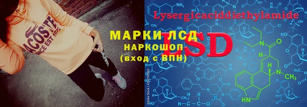 спиды Горняк
