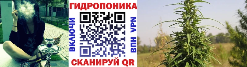 Бошки марихуана Ganja  Купить  Кукмор 